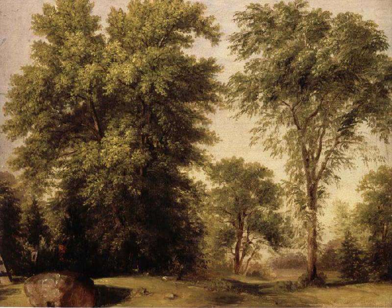 Asher Brown Durand Study form Nature,Hoboken,new jersey oil painting picture